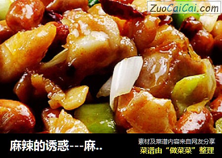 麻辣的诱惑---麻辣宫保鸡丁