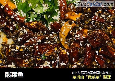 酸菜鱼