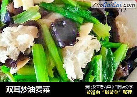 双耳炒油麦菜