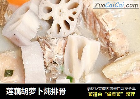 莲藕胡萝卜炖排骨
