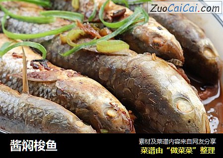 酱焖梭鱼