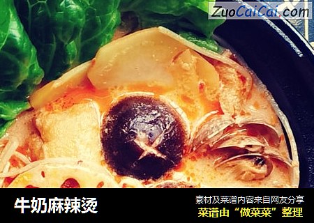 牛奶麻辣烫