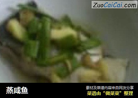 蒸咸鱼