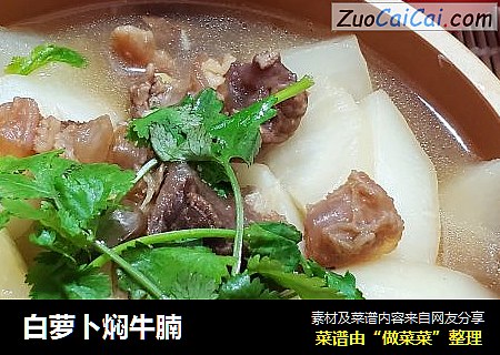 白萝卜焖牛腩