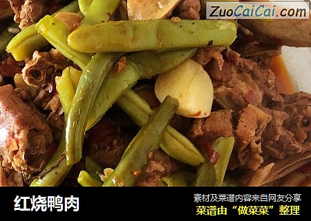 红烧鸭肉