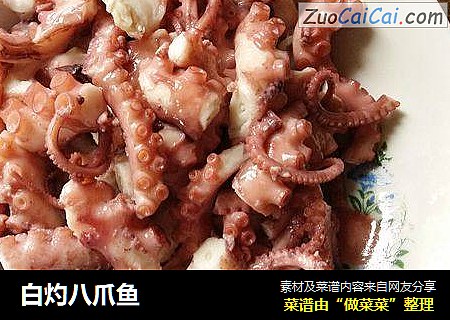 白灼八爪鱼
