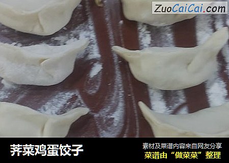 荠菜鸡蛋饺子
