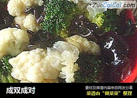 成双成对
