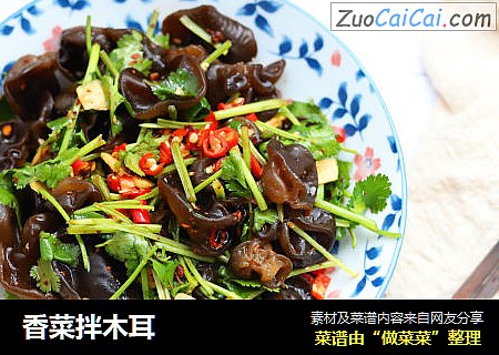 香菜拌木耳