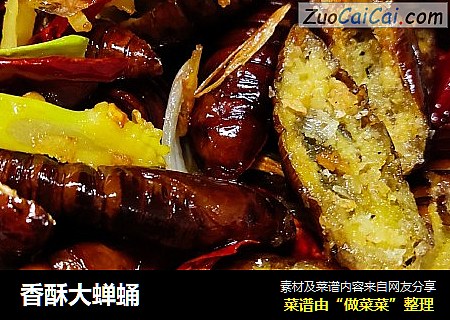 香酥大蝉蛹