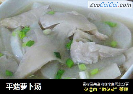平菇萝卜汤