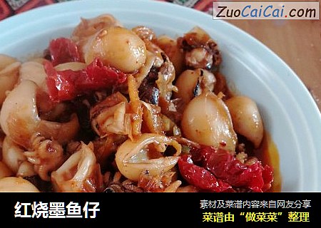 红烧墨鱼仔