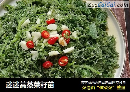 迷迷蒿蒸菜籽苗
