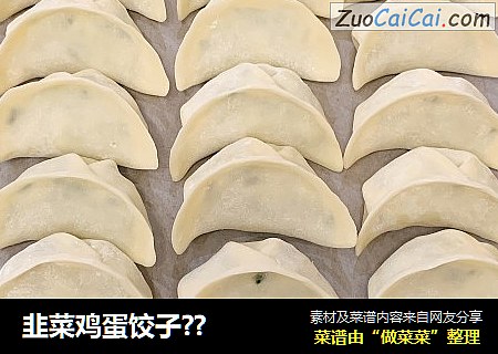 韭菜鸡蛋饺子??