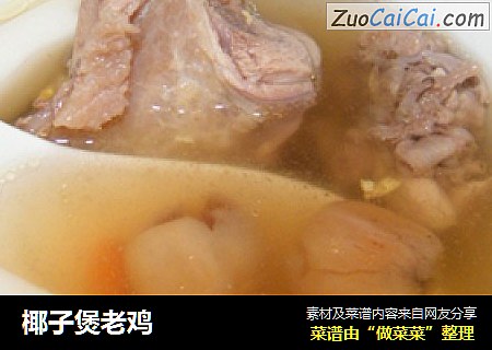椰子煲老鸡