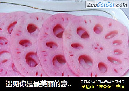 遇见你是最美丽的意外——胭脂藕