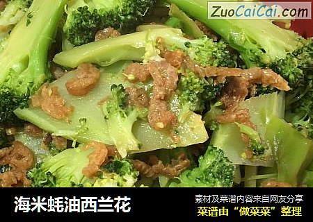海米蚝油西兰花