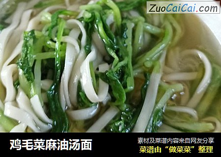 鸡毛菜麻油汤面