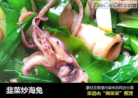 韭菜炒海兔 