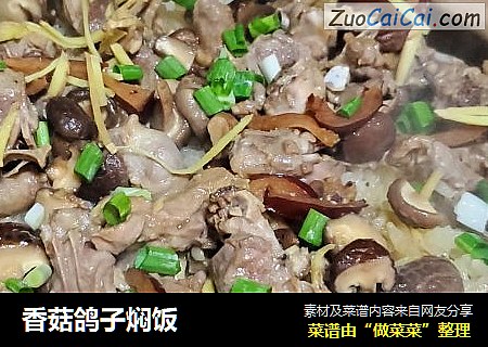 香菇鸽子焖饭
