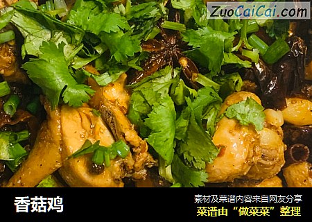 香菇鸡