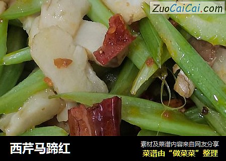 西芹马蹄红