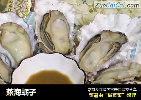 蒸海蛎子