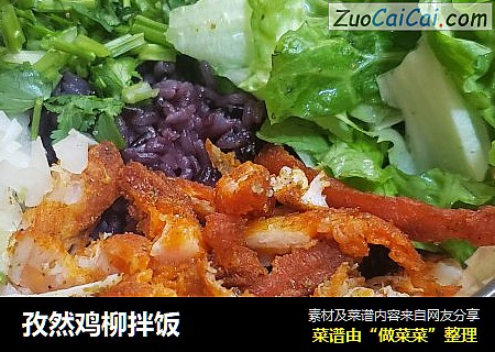孜然鸡柳拌饭
