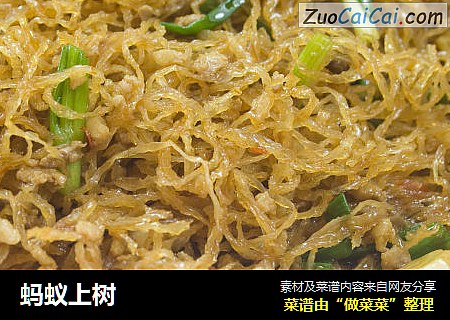 蚂蚁上树