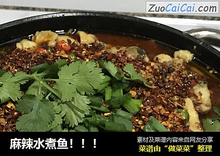麻辣水煮鱼！！！