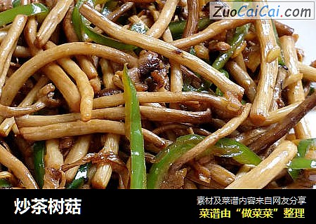 炒茶树菇