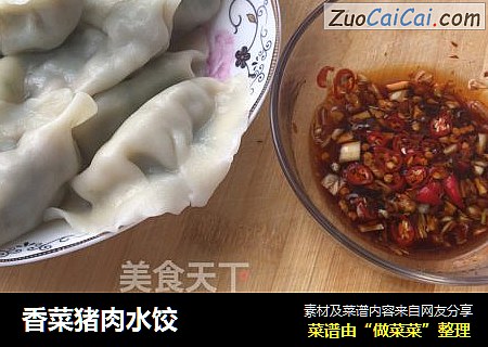 香菜猪肉水饺