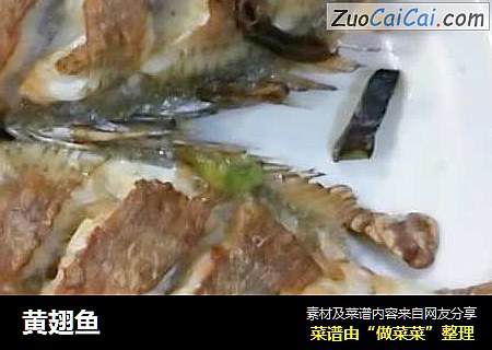 黄翅鱼