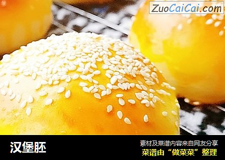 汉堡胚