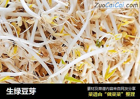 生绿豆芽