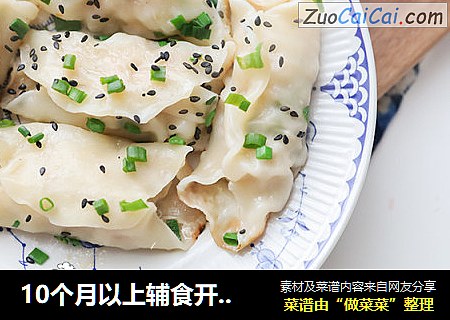 10个月以上辅食开放式煎饺