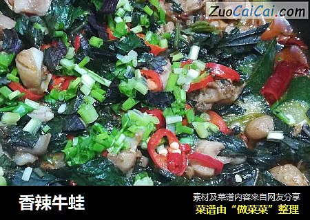  香辣牛蛙