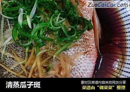 清蒸瓜子斑