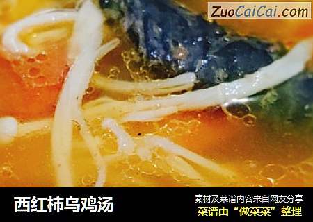 西红柿乌鸡汤