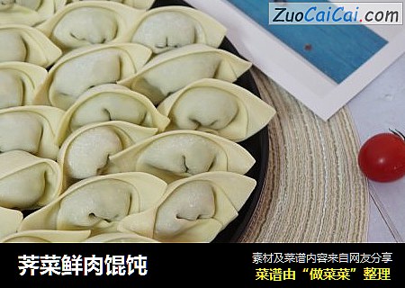 荠菜鲜肉馄饨