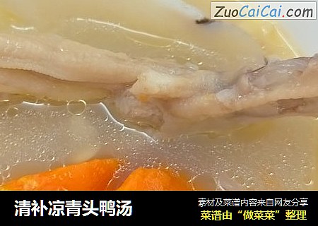 清补凉青头鸭汤