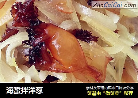 海蜇拌洋葱