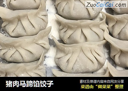 猪肉马蹄馅饺子