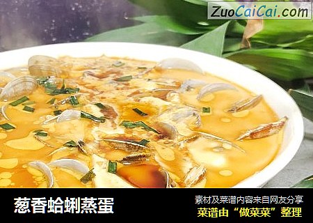 葱香蛤蜊蒸蛋