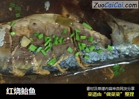 红烧鲐鱼