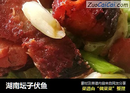 湖南坛子伏鱼