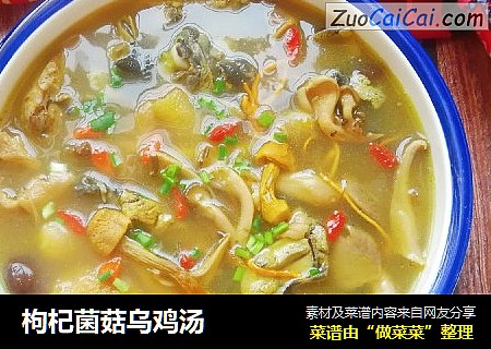 枸杞菌菇乌鸡汤