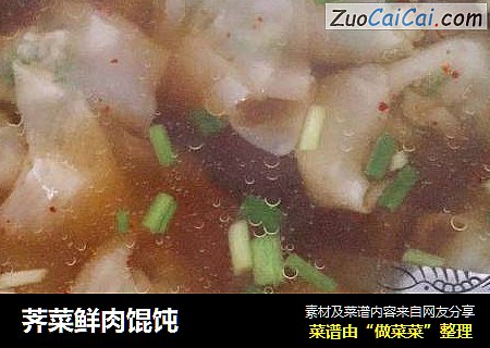 荠菜鲜肉馄饨