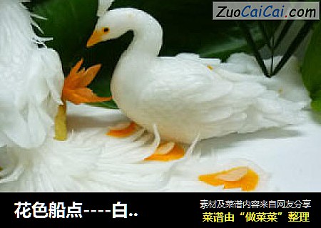 花色船点----白孔雀