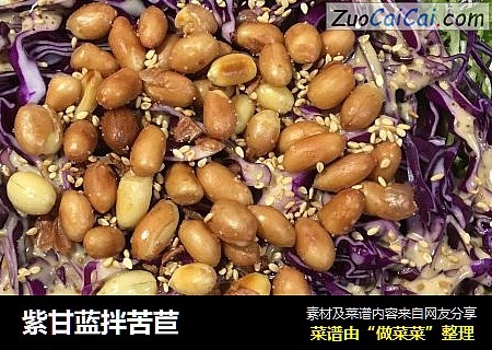 紫甘蓝拌苦苣